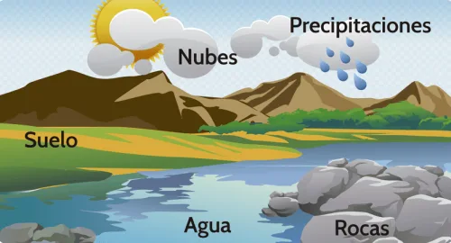 Abiotic factors