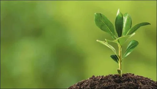 Abscisic acid and plant adaptation to abiotic stress