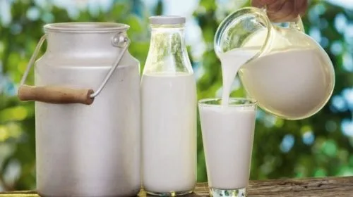 Fresh milk helps to gain weight quickly