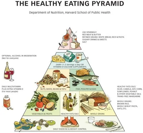 Healthy Eating Pyramid Harvard
