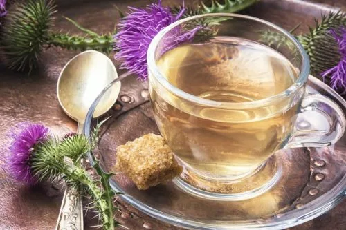 Milk thistle tea side effects