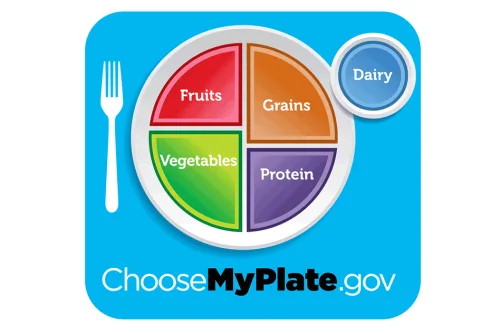 Is the food pyramid a good nutritional guideline? – King Kong