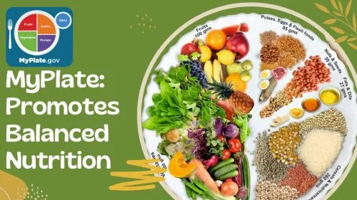 The 6 key benefits of using MyPlate
