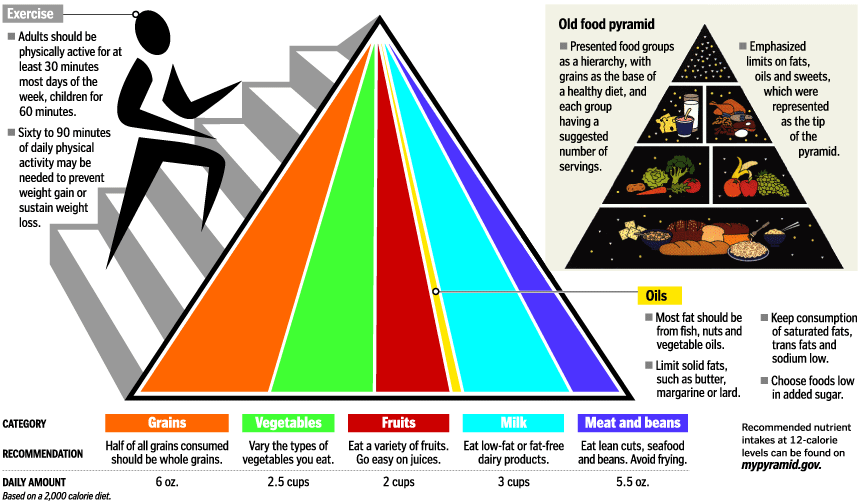 new food pyramid 2023 - The U.S. Department of Agriculture