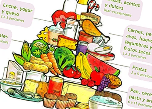 New food pyramid and nutrition pyramid