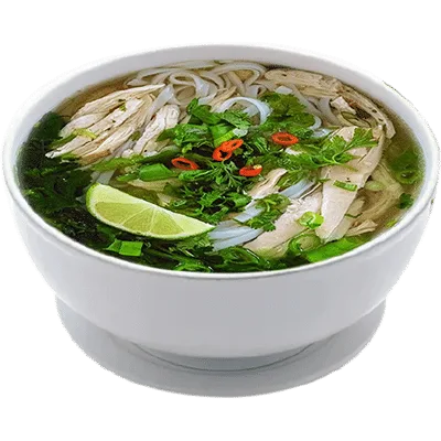 Vietnamese Chicken Pho