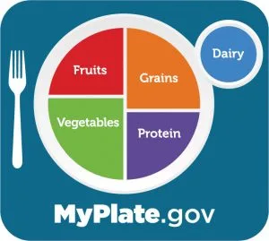 What is the newest version of the food guide pyramid?