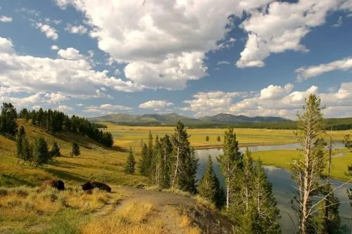 abiotic factor, What is abiotic factor? Characteristics and importance