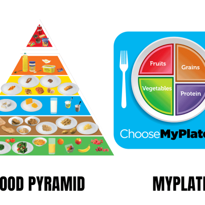 Food Pyramid - MyPlate