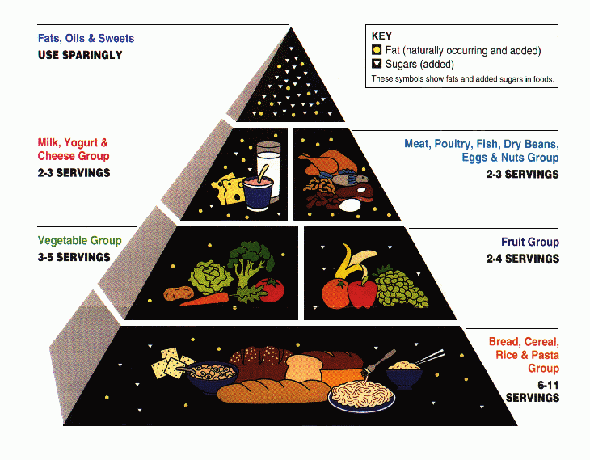 new food pyramid 2023 1