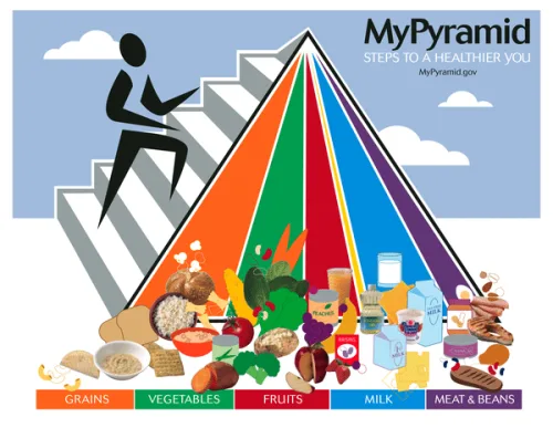Food Pyramid 2023