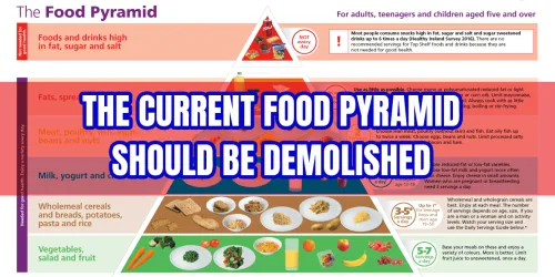 The current food pyramid should be demolished
